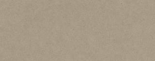 Аглокварцит 2350 LATTE (2350 ЛАТТЭ) - Caesarstone (CLASSICO)