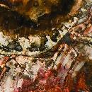 Гранит 8330 PETRIFIED WOOD