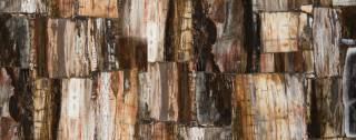Аглокварцит 8330 PETRIFIED WOOD RETRO (8330 ПЕТРАЙФЕД ВУД РЕТРО) - Caesarstone (CONCETTO)