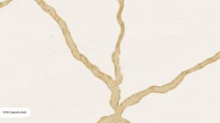 Аглокварцит CALACATTA GOLD Q785 (КАЛАКАТТА ГОЛД) - Noble Quartz ()