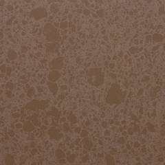 Аглокварцит AC495 ACADIA BROWN (AC495 АКАДИЯ БРАУН) - Samsung (Costal Collection)