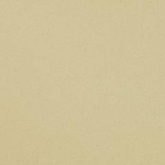 Аглокварцит TE215 TETON BEIGE  (TE215 ТЕТОН БЕЖ) - Samsung (Radianz Colors)