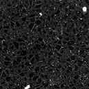 Гранит T603 NERO STARDUST