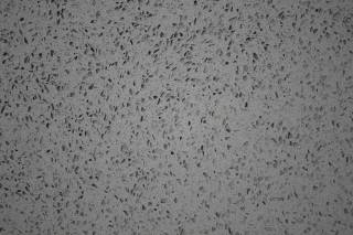 Аглокварцит SIMPLE GREY (СИМПЛ ГРЭЙ) - Smart Quartz ()