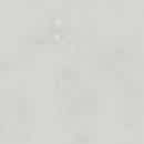 Мрамор MORNING DAISY