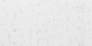 Аглокварцит BQ 8220 CARRARA (BQ 8220 КАРРАРА) - Vicostone (NATURAL)
