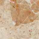 Мрамор A120 BRECCIA DAMASCATA