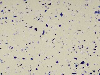 Агломрамор C452 CREMA BLUE (С452 КРЕМА БЛЮ) - SantaMargherita (Crystalstone)