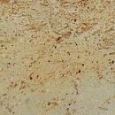 Гранит COLONIAL CREAM