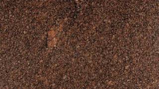Гранит ENGLISH TEAK (ИНГЛИШ ТИК)