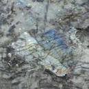 Аглокварцит LABRADORITE BIG FLOWERS