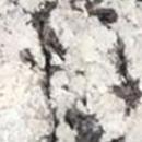 Гранит SILVER SNOW