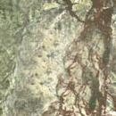 Оникс BIDASAR GREEN