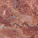 BRECCIA PERNICE