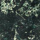 Аглокварцит VERDE ASSOLUTO