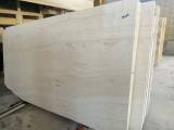 Слэбы - Травертин TRAVERTINE WHITE